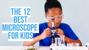 Best microscopes for kids