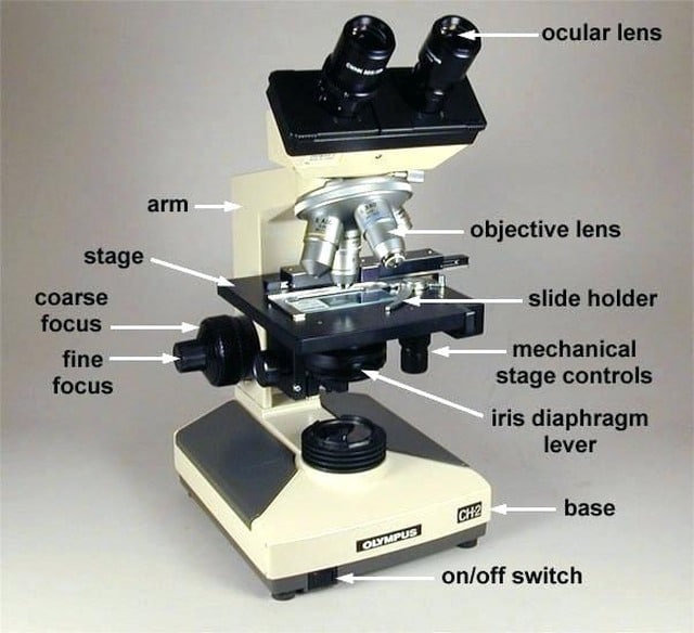 The Microscope s Iris Diaphragm What It Does And How It Works The Microscope s Iris Diaphragm What It Does And How It Works