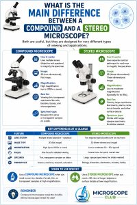 Compound vs Stereo Microscope: Which Do You Need? » Microscope Club