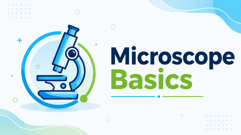 Microscope basics