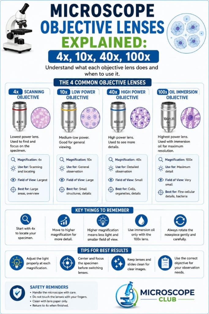 Objective Lens Microscope Rotation Microscope Objective Lenses Explained: 4x, 10x, 40x, 100x » Microscope Club