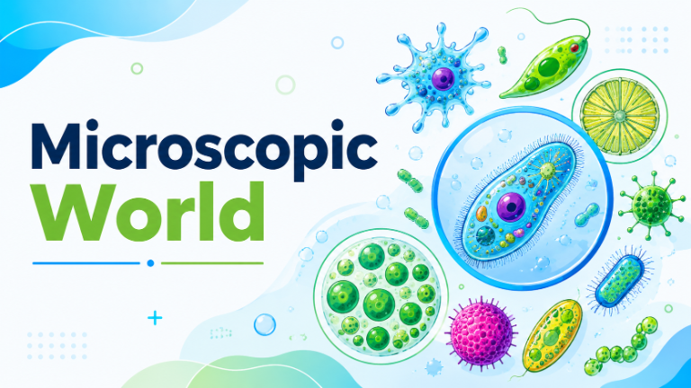 Microscopic world
