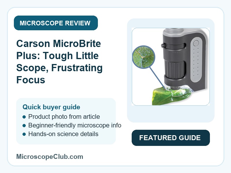 Featured image for Carson MicroBrite Plus: Tough Little Scope, Frustrating Focus microscope review on MicroscopeClub